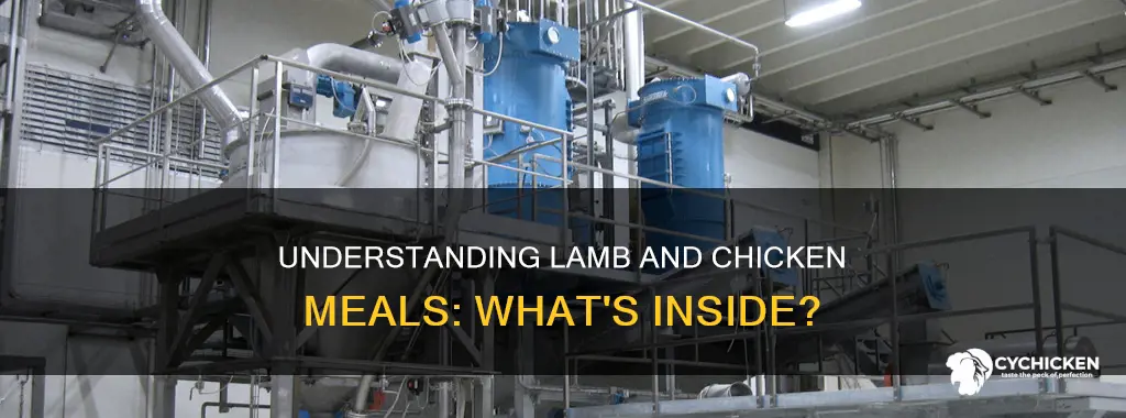 what is lamb meal and chicken meal made of