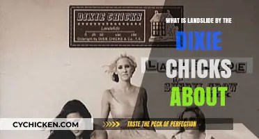 Landslide by the Dixie Chicks: Unraveling the Song's Meaning and Impact