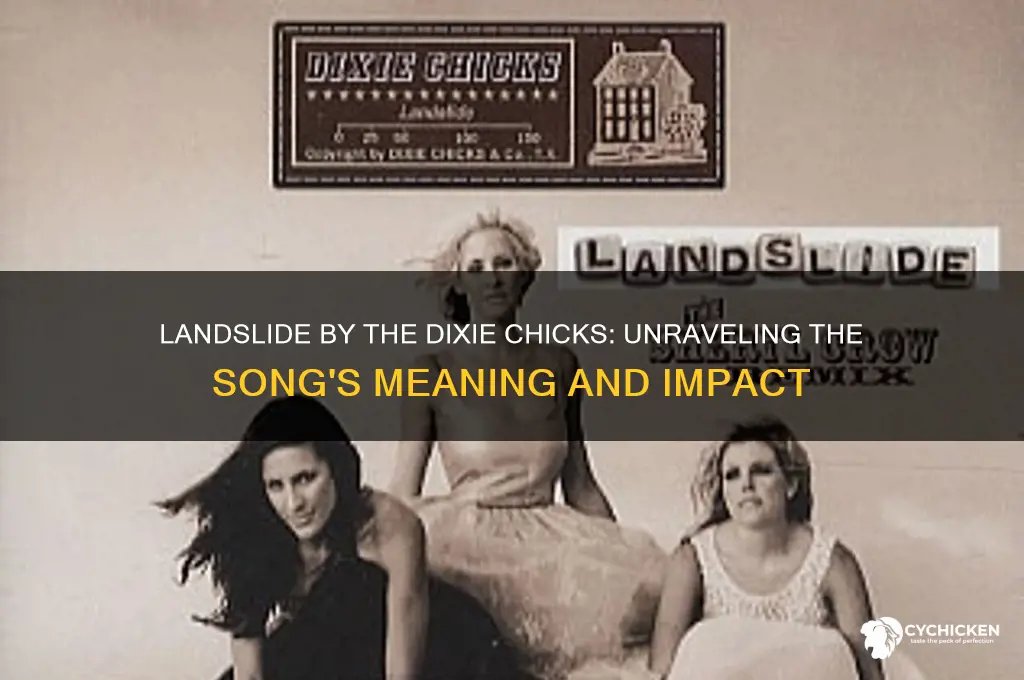 what is landslide by the dixie chicks about