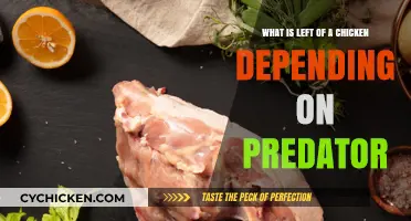 Chicken Leftovers: Predators and Their Hunting Styles