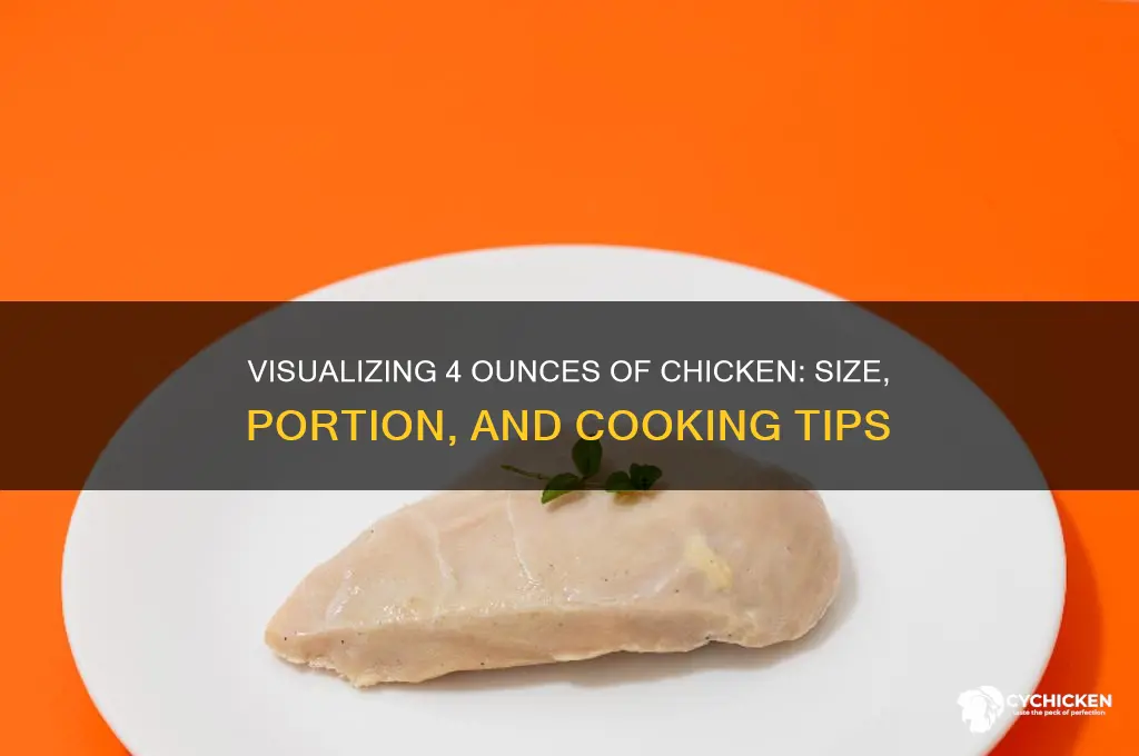 what is like 4 oz chicken look