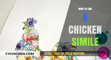 Clucking Like a Chicken: Exploring Similes That Peck at Our Imagination