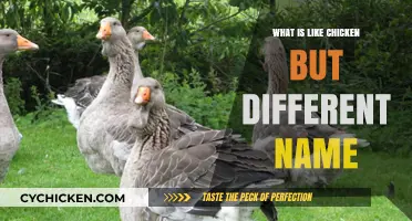 Discover Poultry Alternatives: Unique Meats Similar to Chicken, Different Names