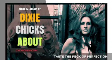 Understanding the Heartfelt Message Behind Dixie Chicks' Lullaby
