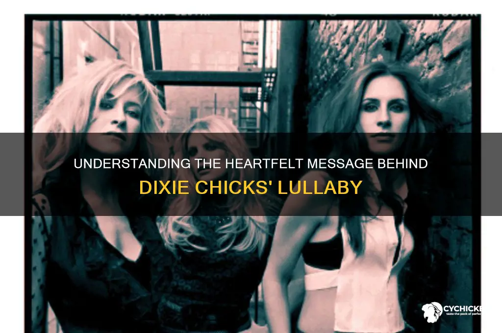 what is lullaby by dixie chicks about