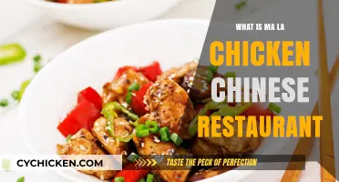 Discover Ma La Chicken: A Spicy Chinese Restaurant Favorite Explained