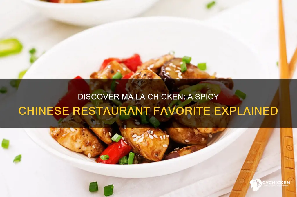 what is ma la chicken chinese restaurant