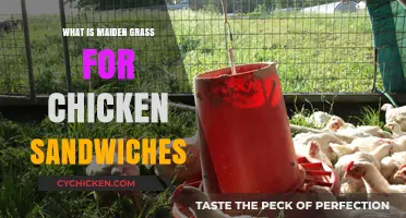 Maiden Grass: A Unique Twist for Chicken Sandwich Creations