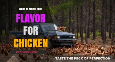 Exploring the Spicy, Cajun-Inspired Mardi Gras Chicken Flavor Sensation
