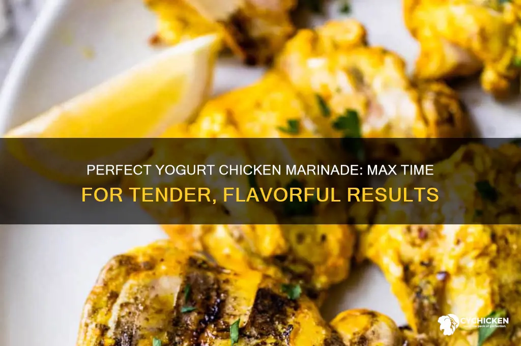 what is max time marinate chicken in yugart