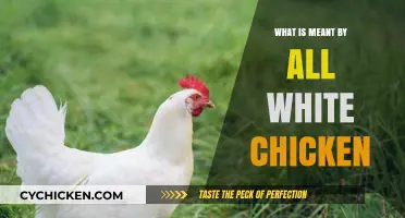 Understanding the Meaning and Implications of All White Chicken