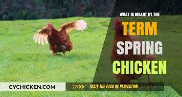 Understanding the Idiom: What Does 'Spring Chicken' Really Mean?