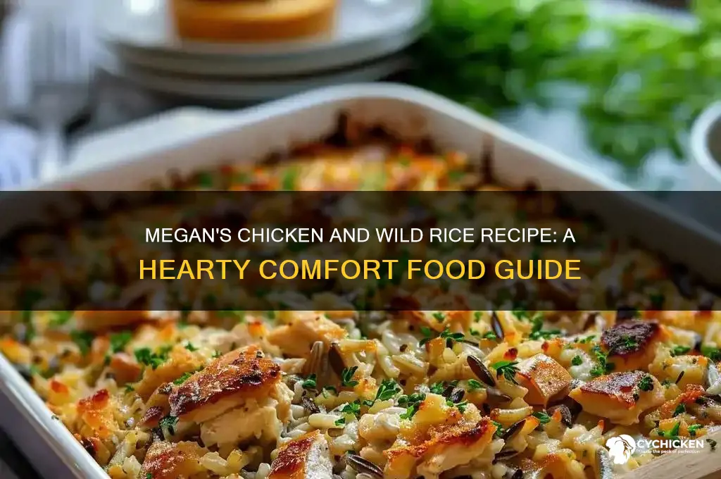 what is megan making chicken and wild rice