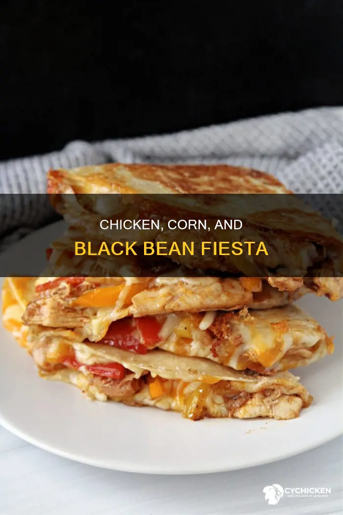 what is mexican dish shredded chicken corn black beans