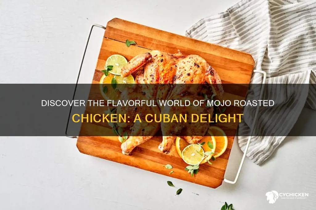 what is mojo roasted chicken