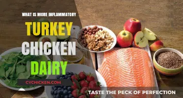 Turkey, Chicken, or Dairy: Which Food Triggers More Inflammation?