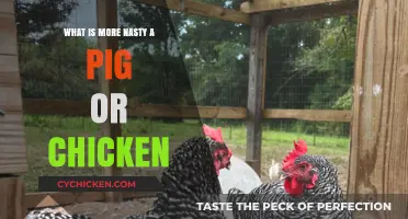 Pigs vs. Chickens: Uncovering Which Farm Animal is Nastier