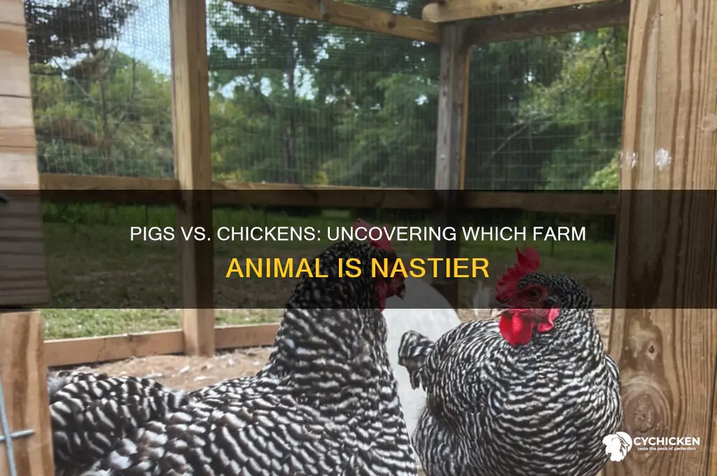 what is more nasty a pig or chicken