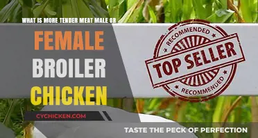 Broiler Chicken Meat: Male vs Female Tenderness