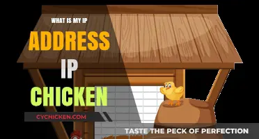 Discover Your IP Address Easily with IP Chicken: A Quick Guide