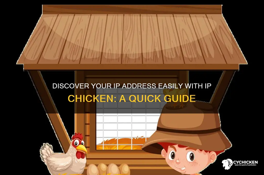what is my ip address ip chicken