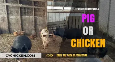Pigs vs. Chickens: Unveiling Which Farm Animal is Nastier