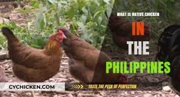 Discovering the Unique Flavors of Native Chicken in the Philippines