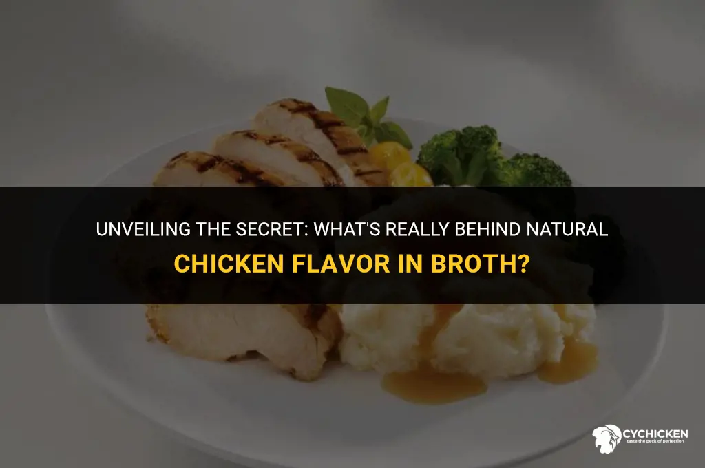 what is natural chicken flavor in chicken broth