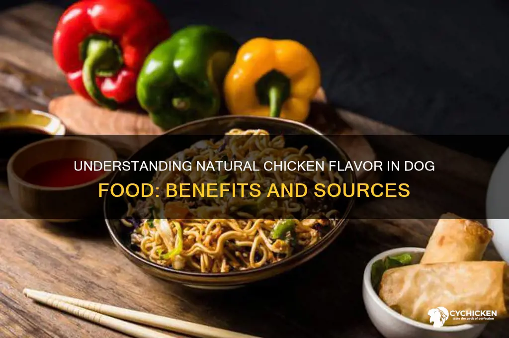 what is natural chicken flavor in dog food