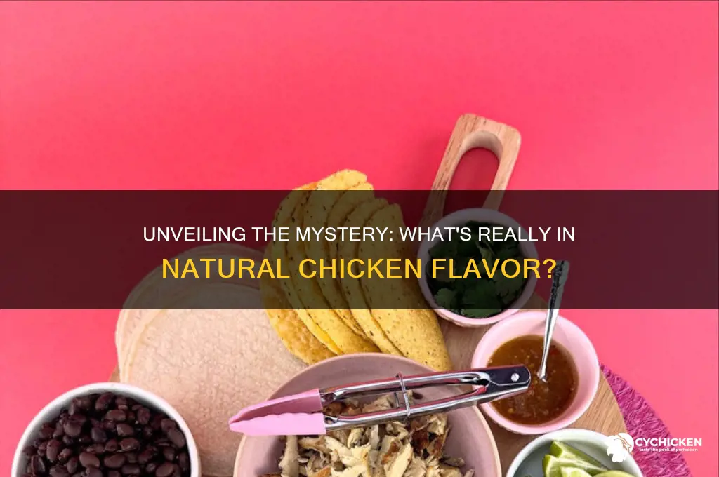 what is natural chicken flavor made of