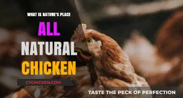 Nature's Place All Natural Chicken: A Healthy, Sustainable Choice