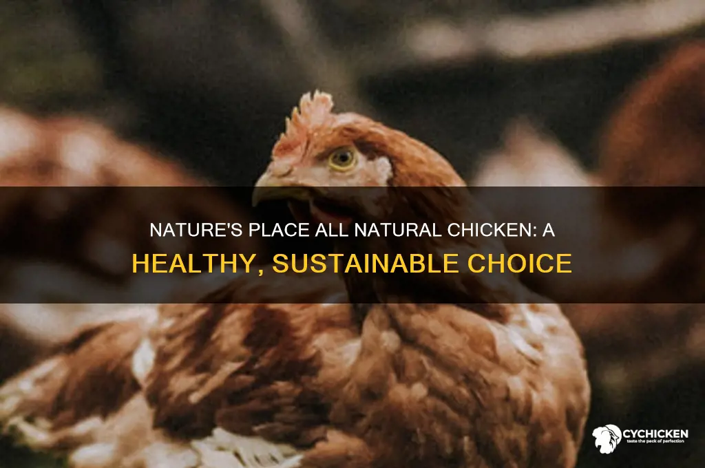 what is nature