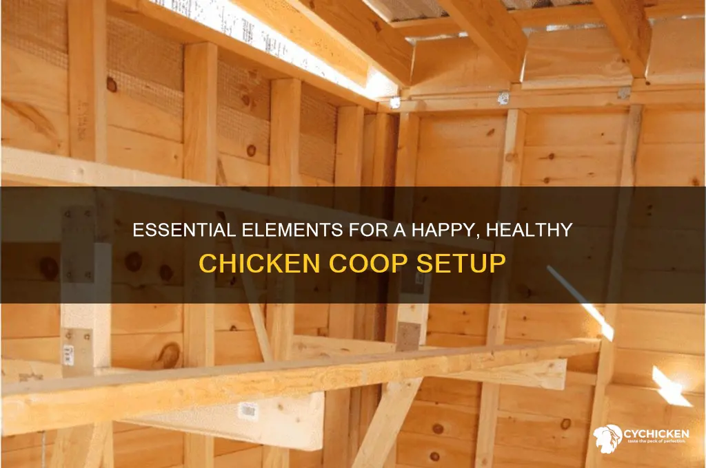 what is needed in a chicken coup