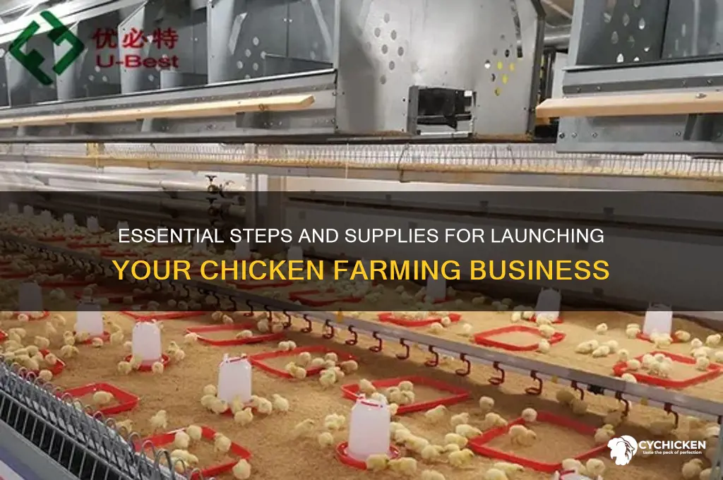 what is needed to start a chicken business