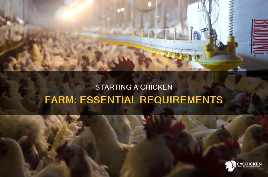 what is needed to start a commercial chicken farm