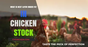 Unlocking Chicken Stock's Hidden Layer: What Lies Beneath the Fat?