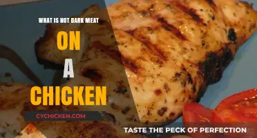 Understanding Chicken Meat: What Constitutes the Lighter Portions?