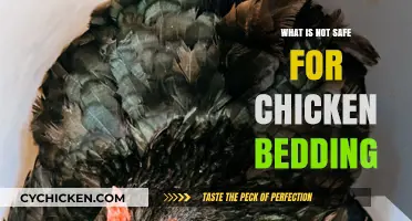Unsafe Chicken Bedding: Materials to Avoid for Healthy Flocks