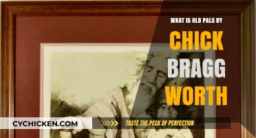 Old Pals by Chick Bragg: Unveiling Its True Value and Worth