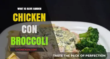 Olive Garden's Chicken con Broccoli: A Delicious Italian-Inspired Dish Explained