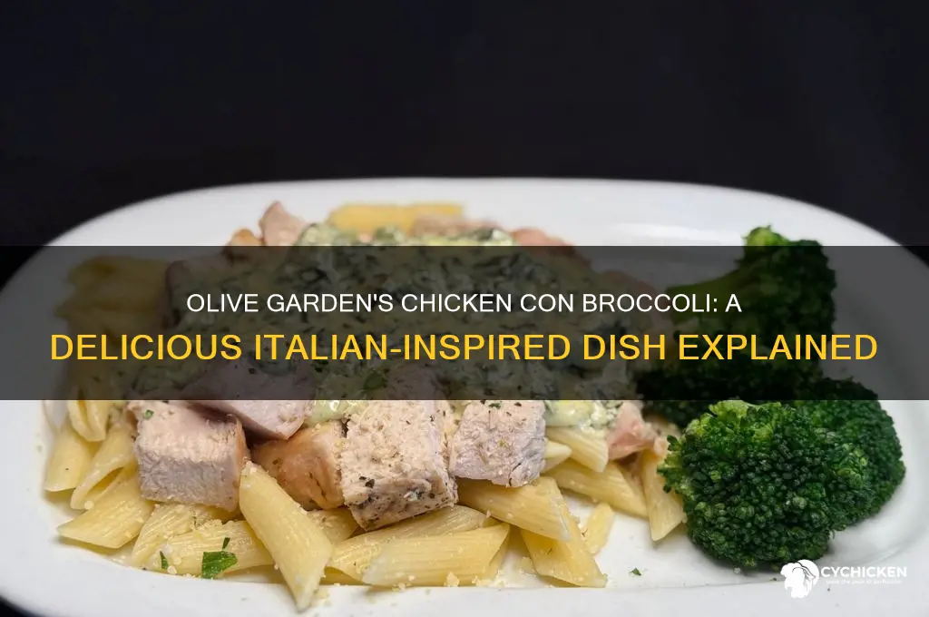 what is olive garden chicken con broccoli
