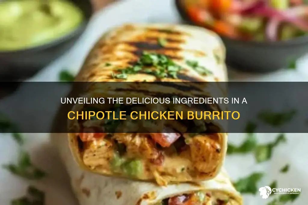 what is on a chilpotle chicken burritio