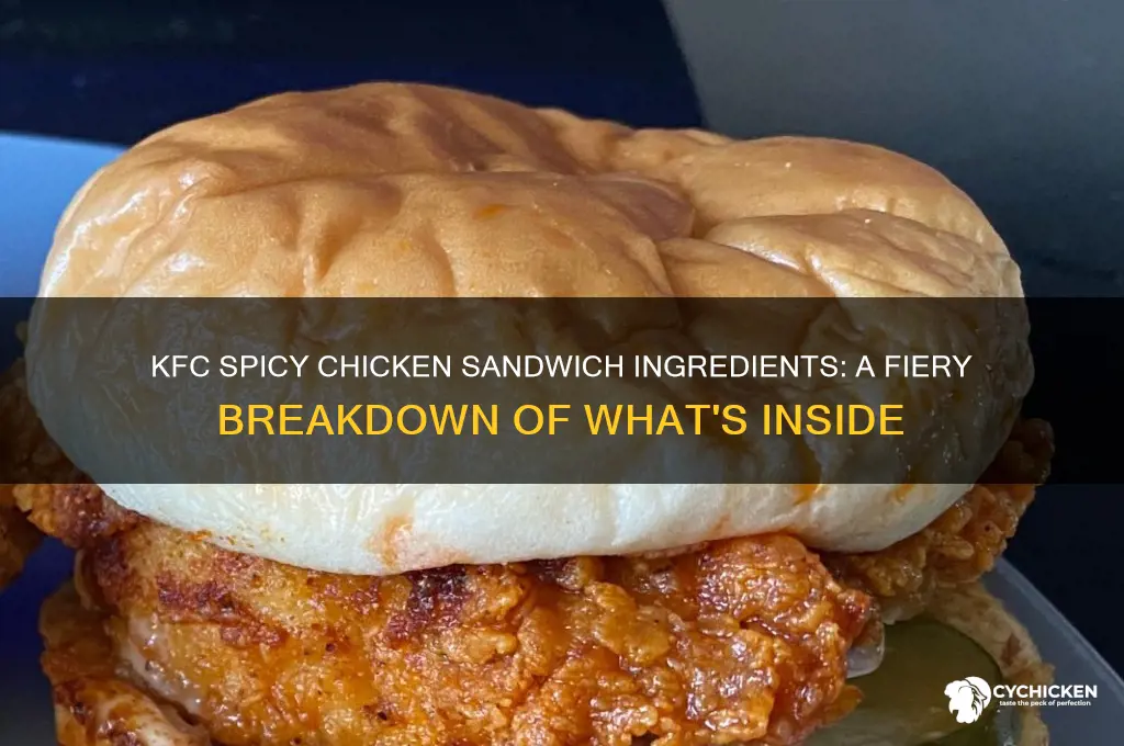what is on a kfc spicy chicken sandwich