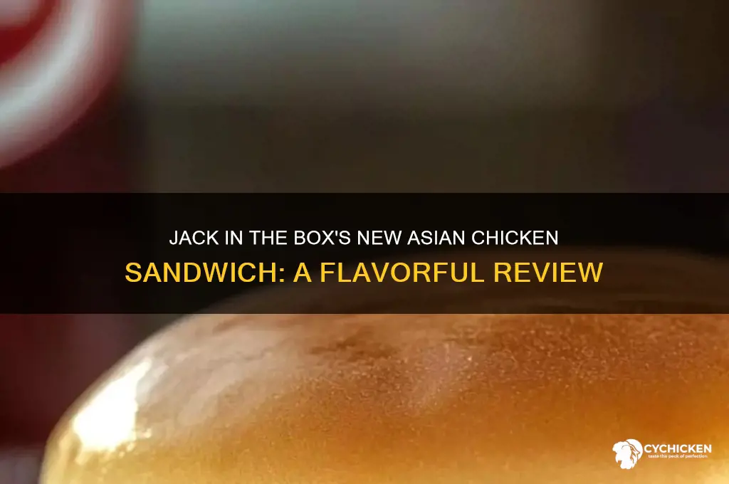 what is on jack in box new asian chicken sandwich