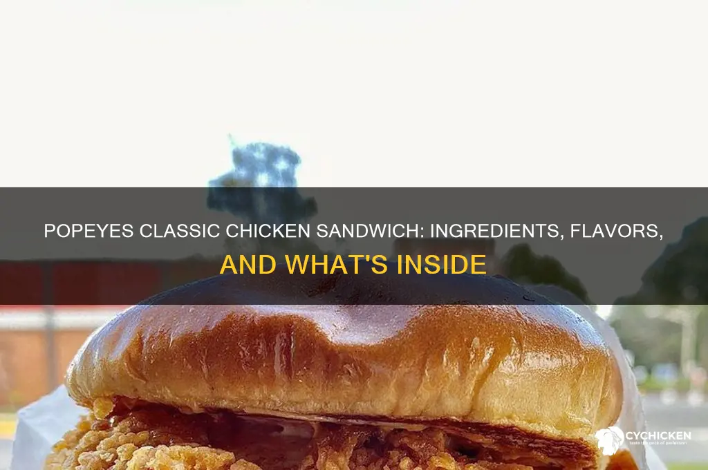 what is on popeyes classic chicken sandwich