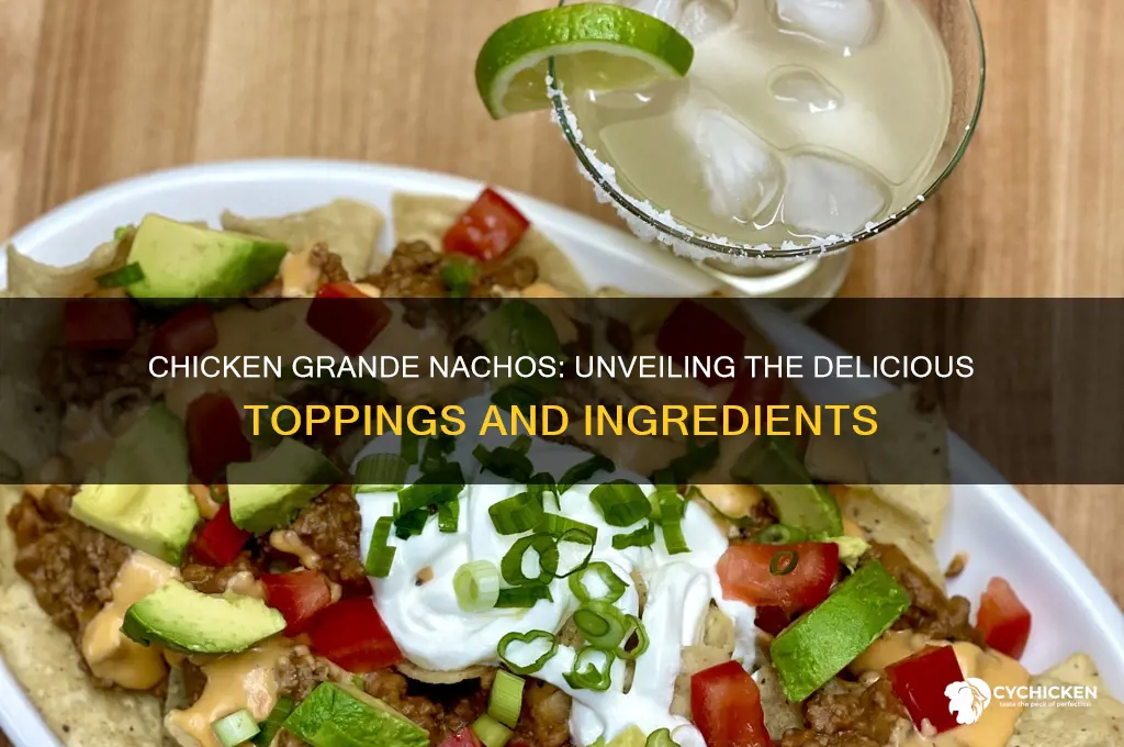 what is on the chicken grande nachoes
