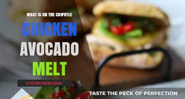 Chipotle Chicken Avocado Melt: Ingredients, Flavors, and How to Enjoy