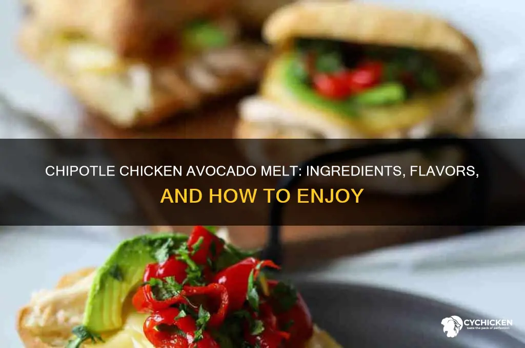 what is on the chipotle chicken avocado melt