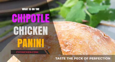 Chipotle Chicken Panini Ingredients: A Spicy, Flavorful Sandwich Breakdown