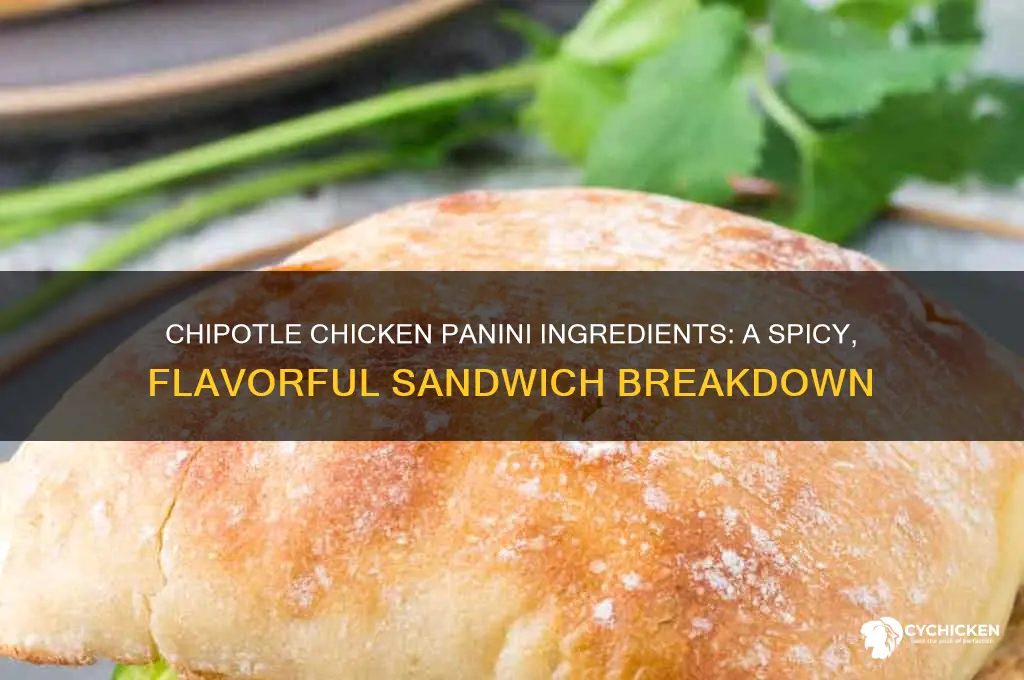 what is on the chipotle chicken panini